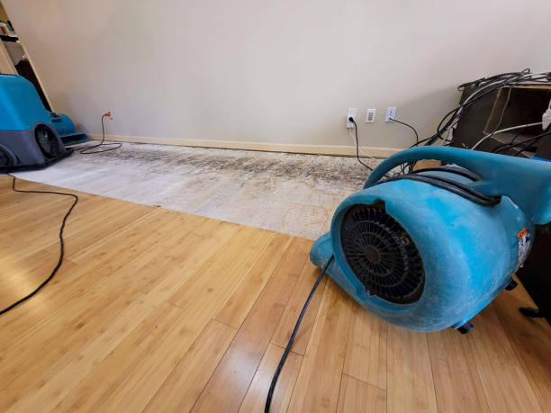 Professional Structural Drying technician working in Plymouth, NC